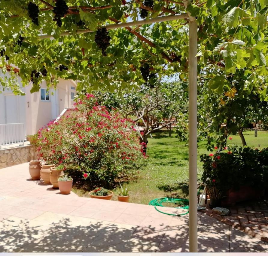Aparthotel Eleana