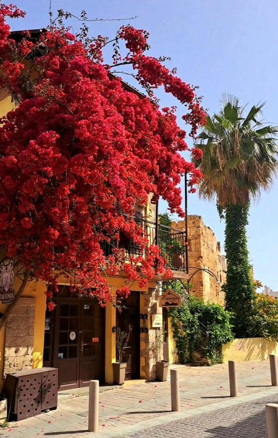 Hamam Sifaka Apartment *