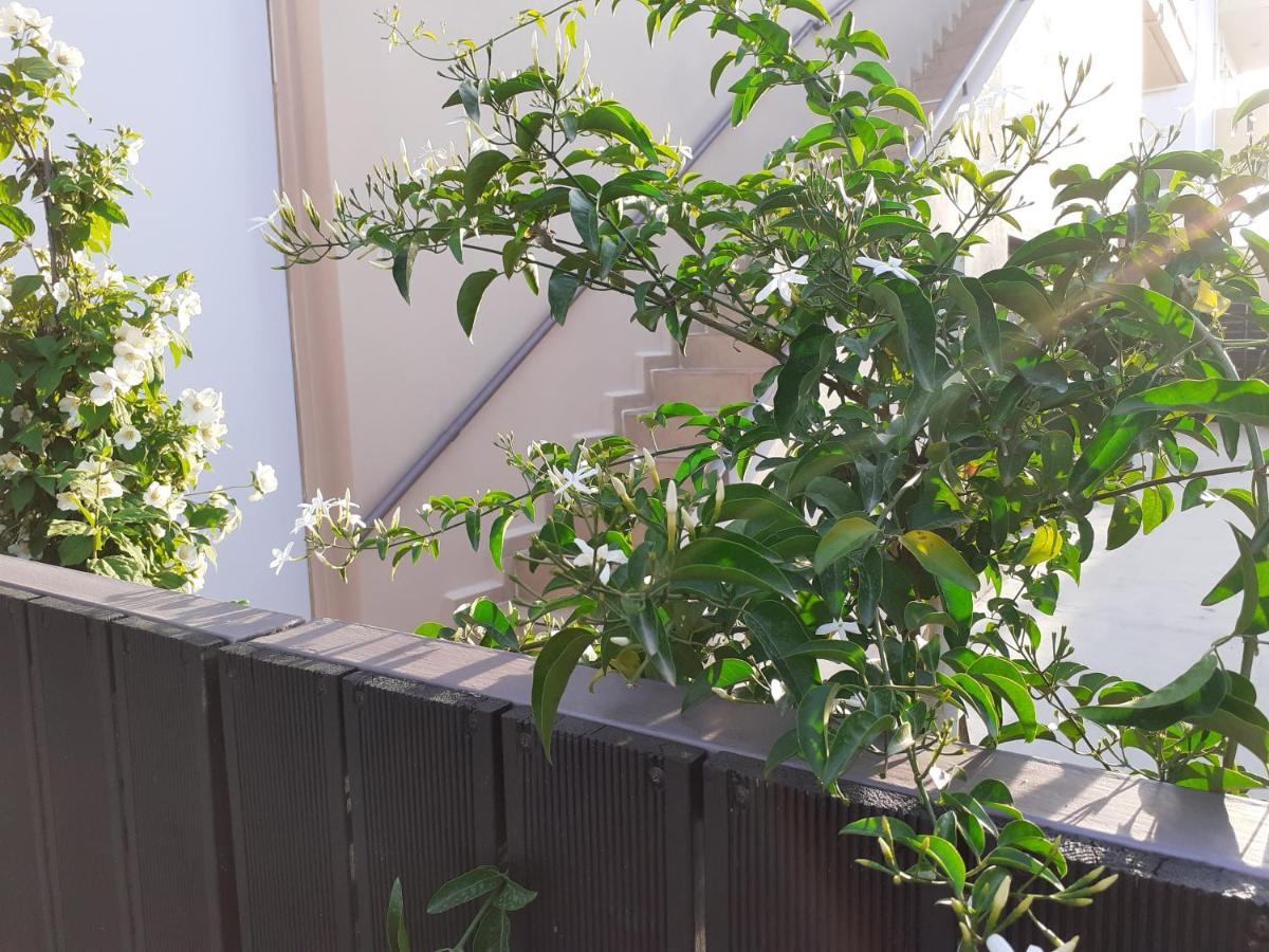 Appartement House Escape Chania (Crete)