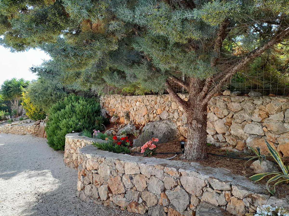 Pegase Chania (Crete)