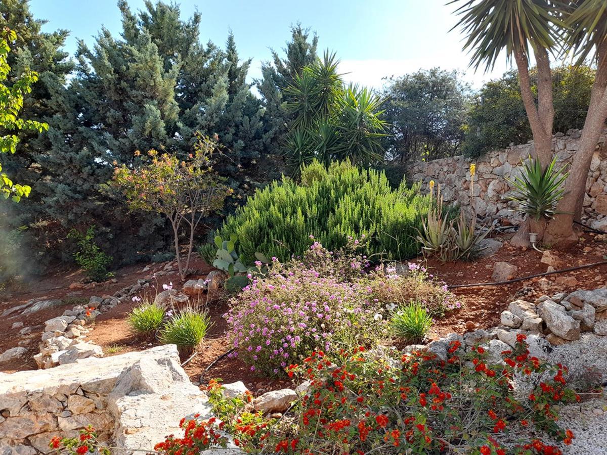 Villa Pegase Chania (Crete)