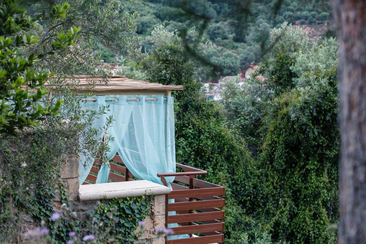 Kotinos Luxury Villa *