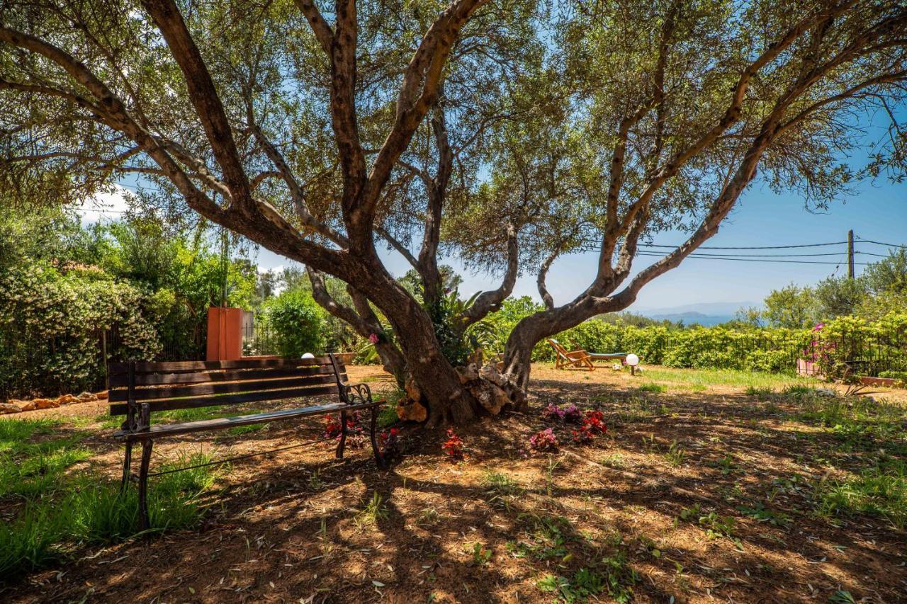 Silva, Garden & Sea View, 3 Bedroom -10 Min Drive From Center