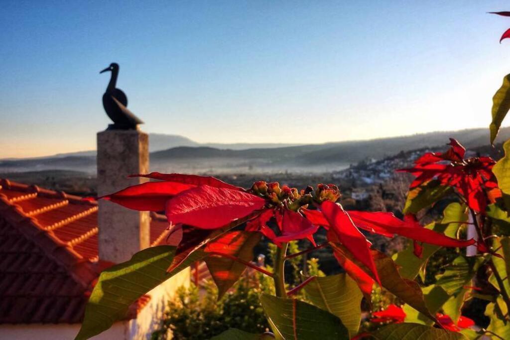 Studio Shamballa Holiday home Chania (Crete)