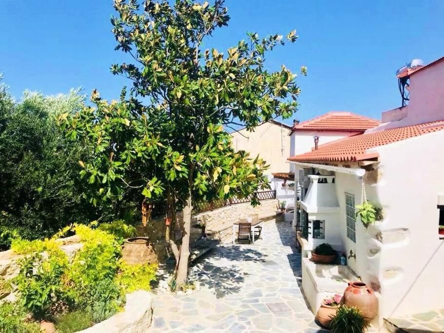 Studio Shamballa Holiday home Chania (Crete)