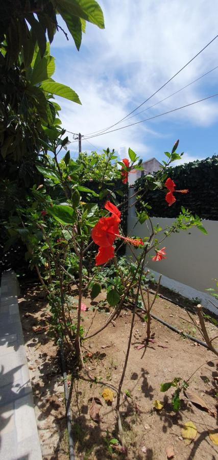 Holiday home Aeropis Villa, Chania *