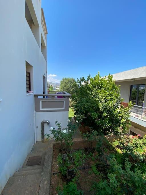 Apartment Nickolas Tiny Souda-chania *