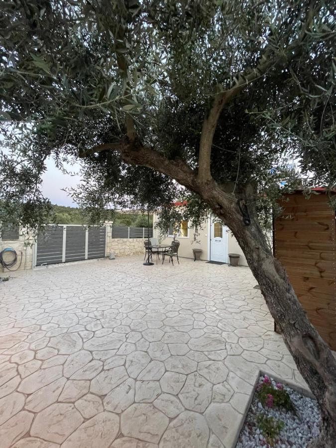 Elia House *