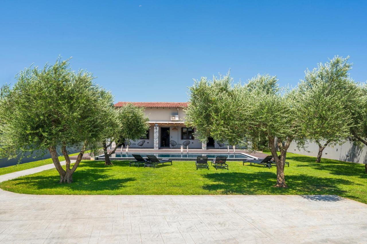 Eightyfour Living With Private Pool *