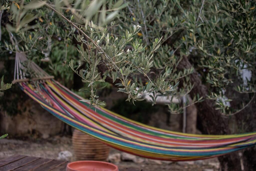 Amygdalia Traditional House Holiday home Chania (Crete)