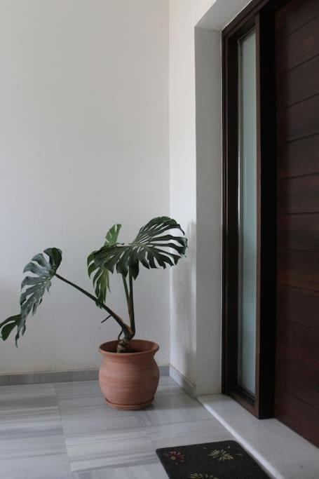 Zoe' S Place In Chania Apartment