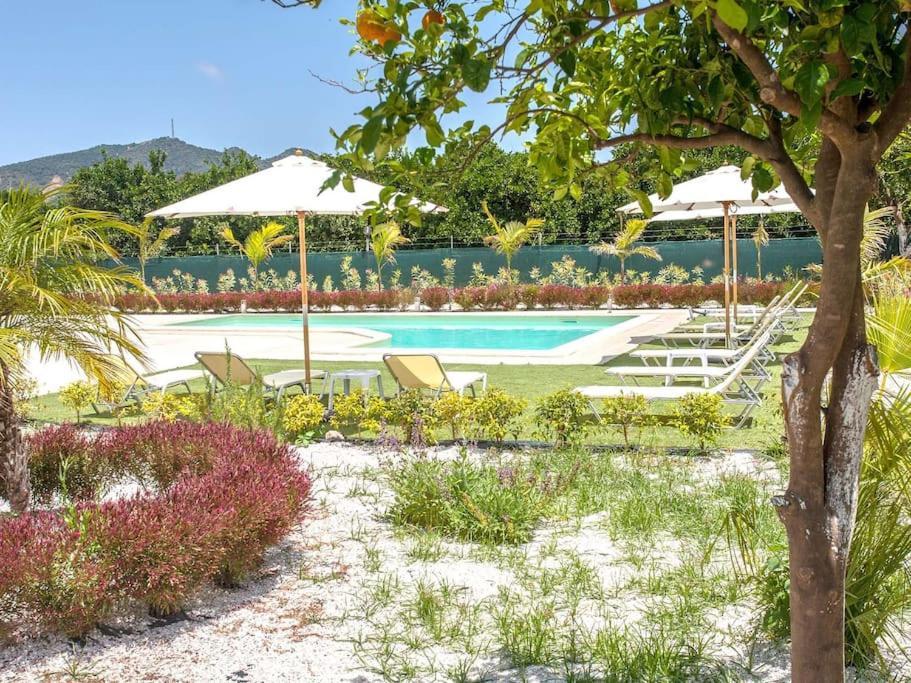 Orange Near Platanias