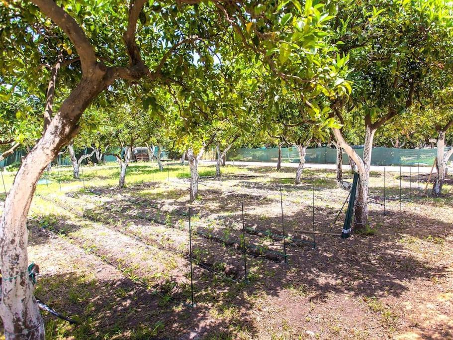 Villa Orange Near Platanias *