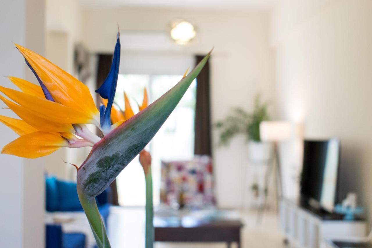 Blue Iris: Stylish Just 10 Minutes Walk From Old Town Chania *