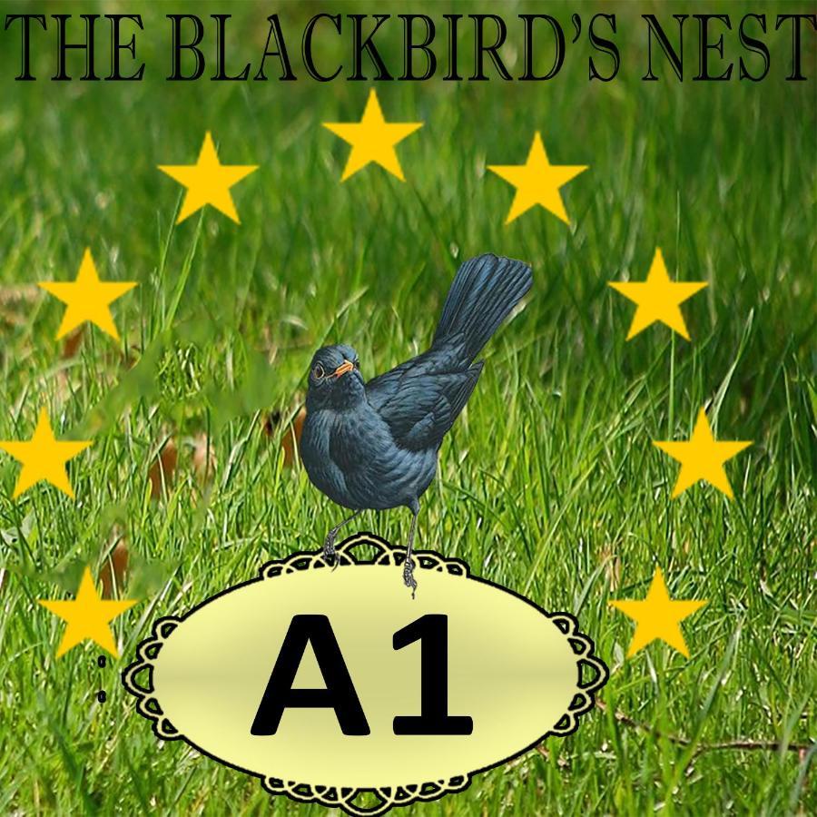 The Blackbird's Nest Appartement *