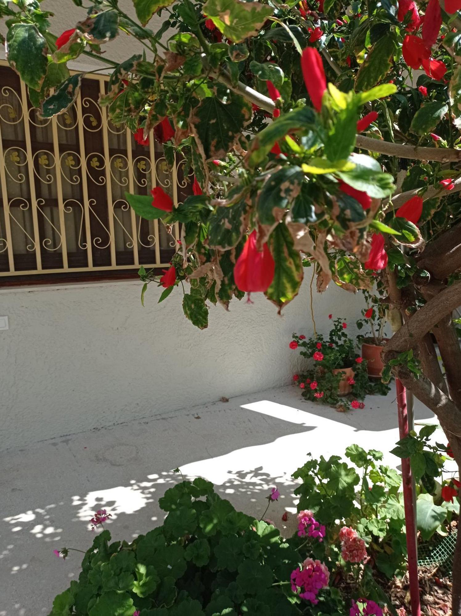 Tasos Seagull Apartment *