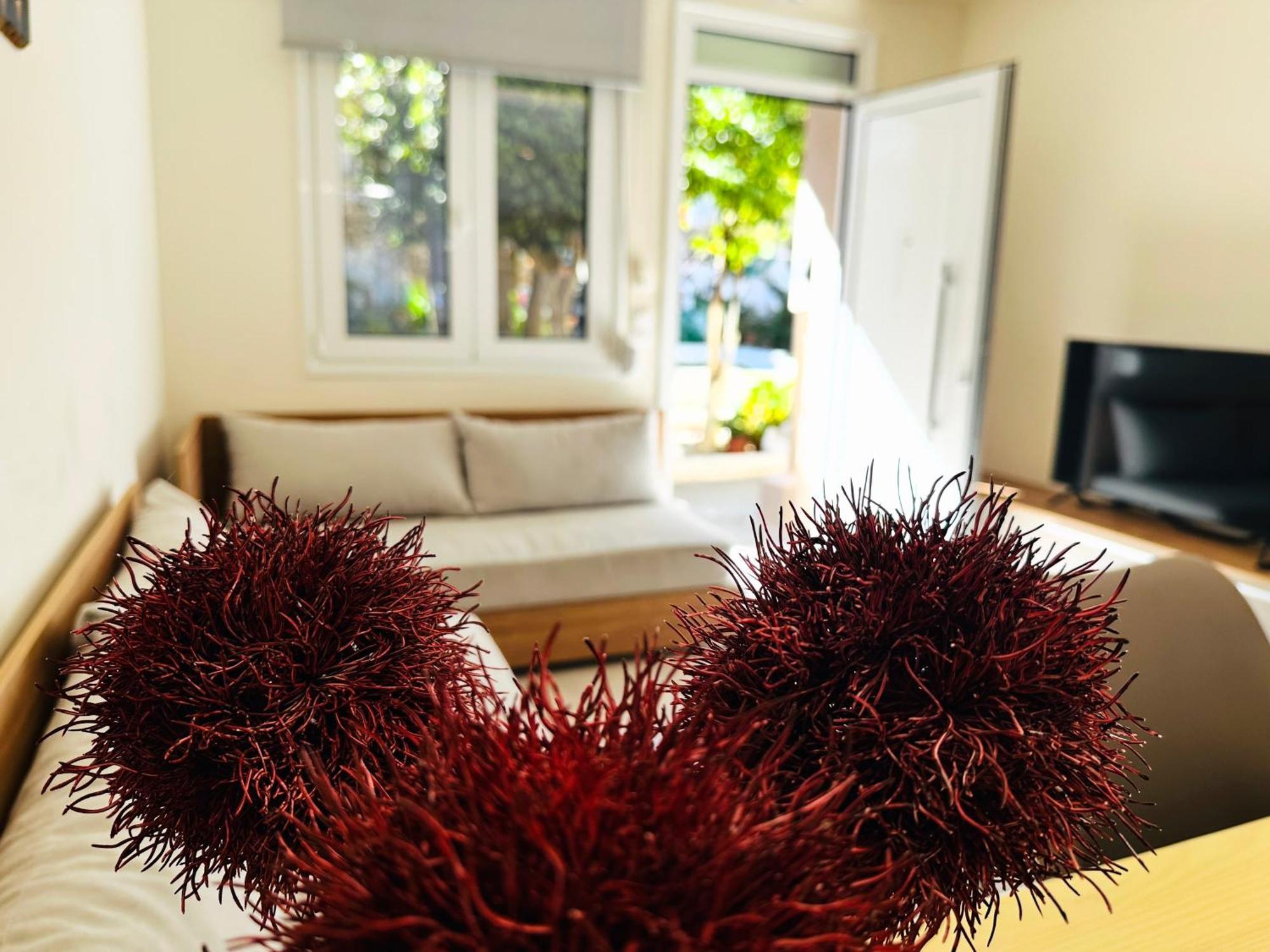 Apartment Matina *