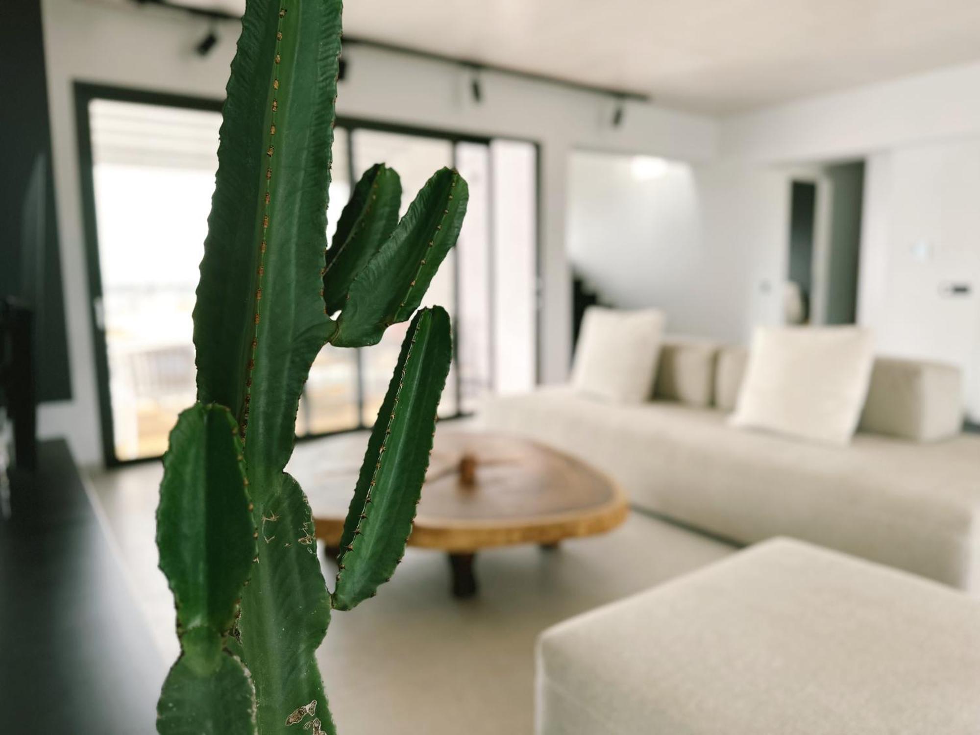 Apartment Olo Penthouse By 8essentially *