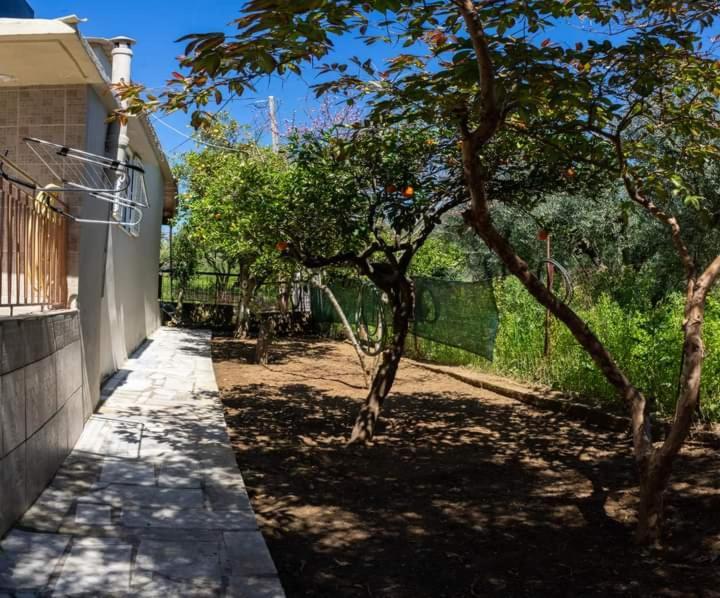 Holiday home House Beside Lemon Tree *