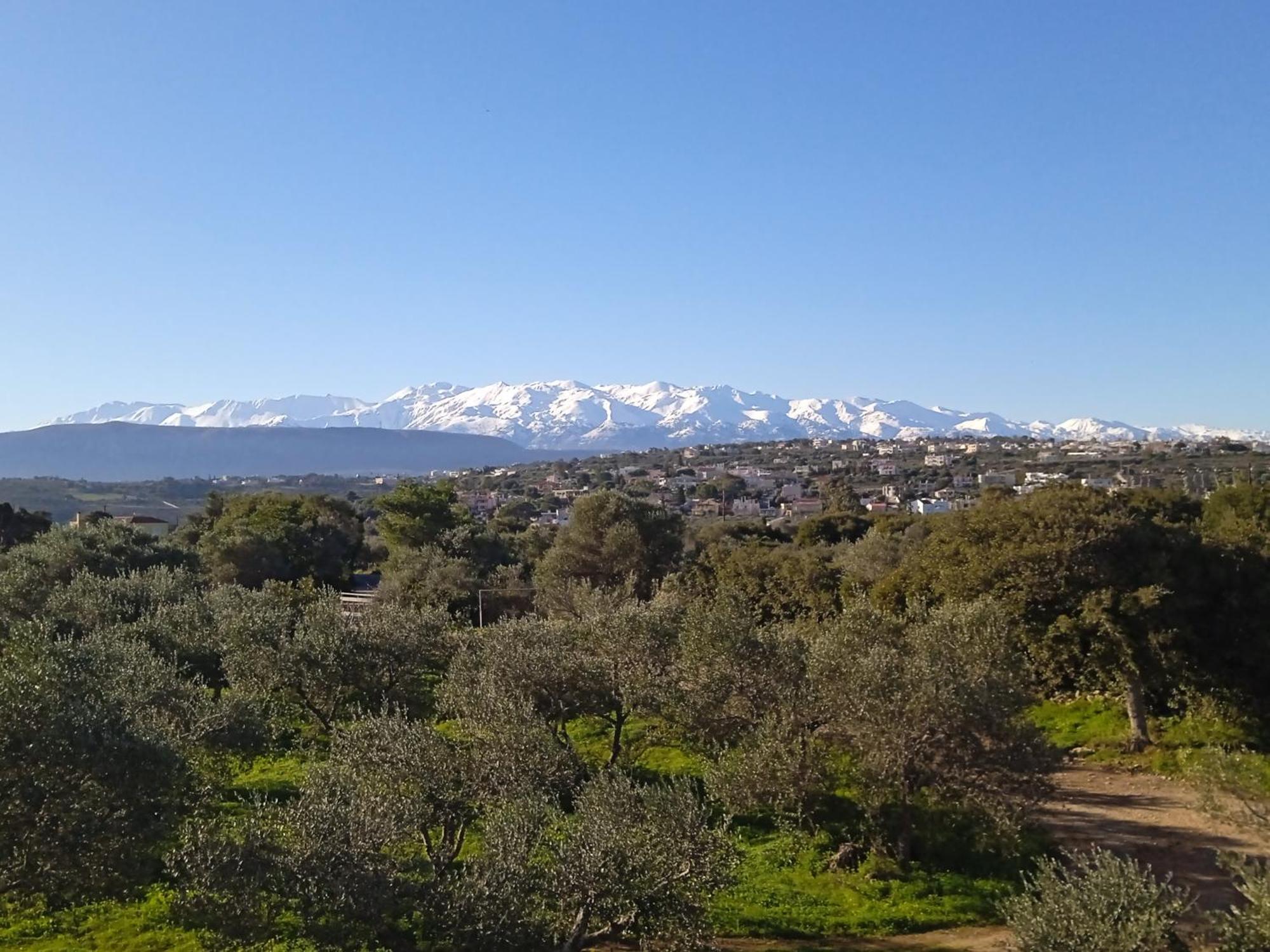 Manolo S Olive Farm, With Seaview Apartment