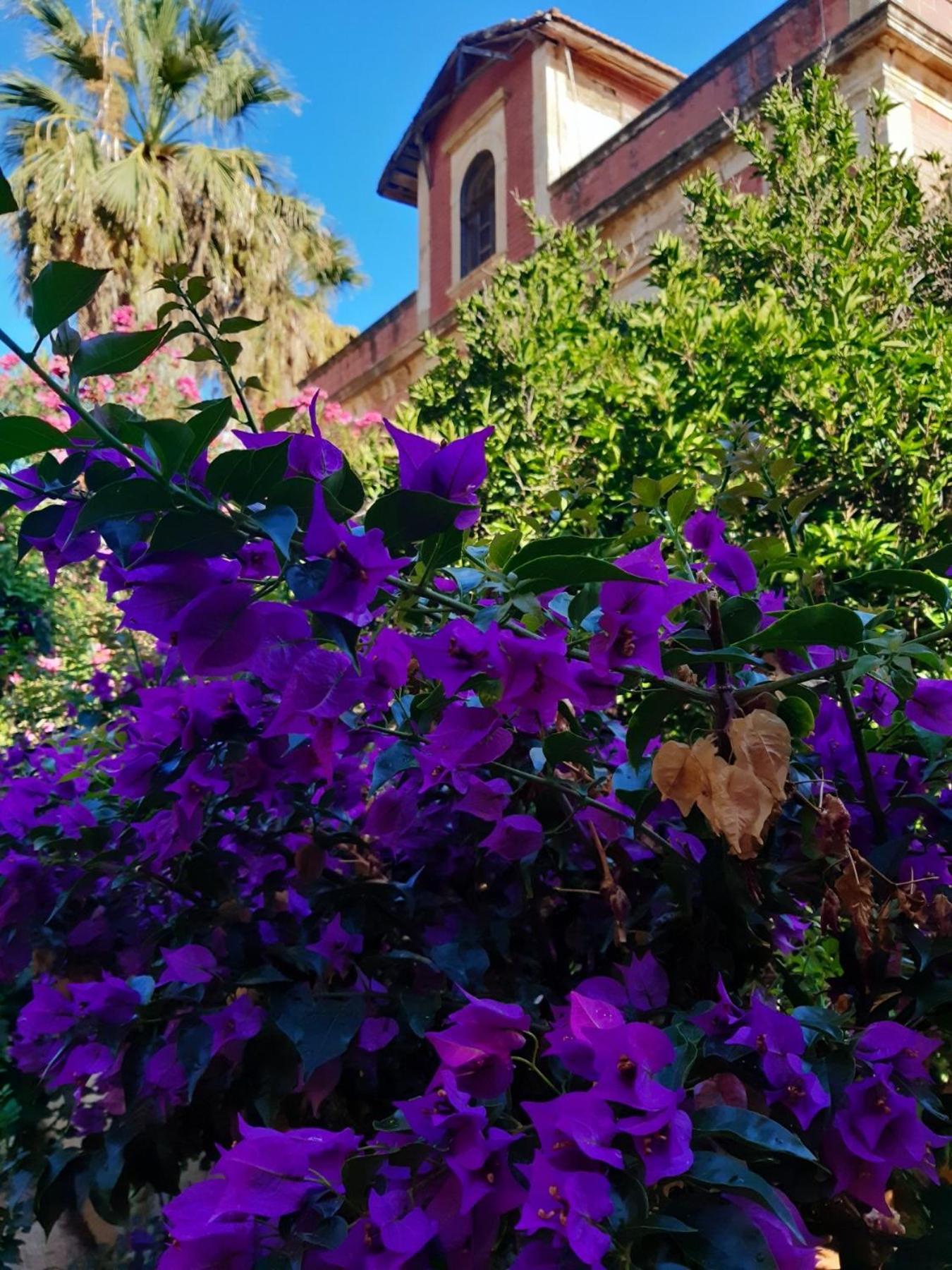 Avgi Garden House Chania With Private Entrance