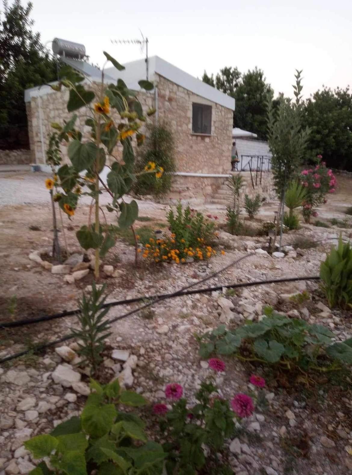 Ormilia Appartement Chania (Crete)