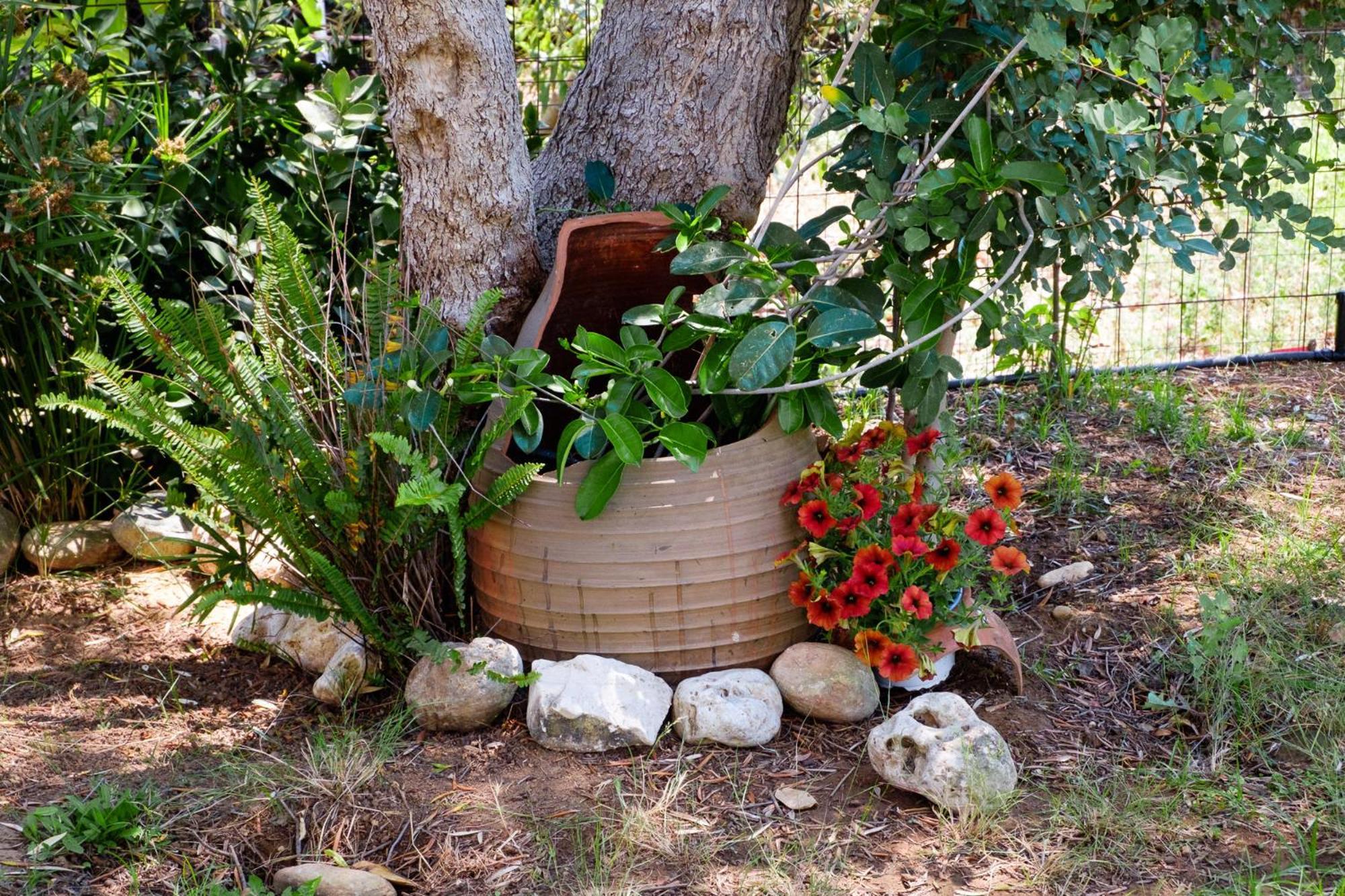 Nature's Playground New Listing2024 Holiday home