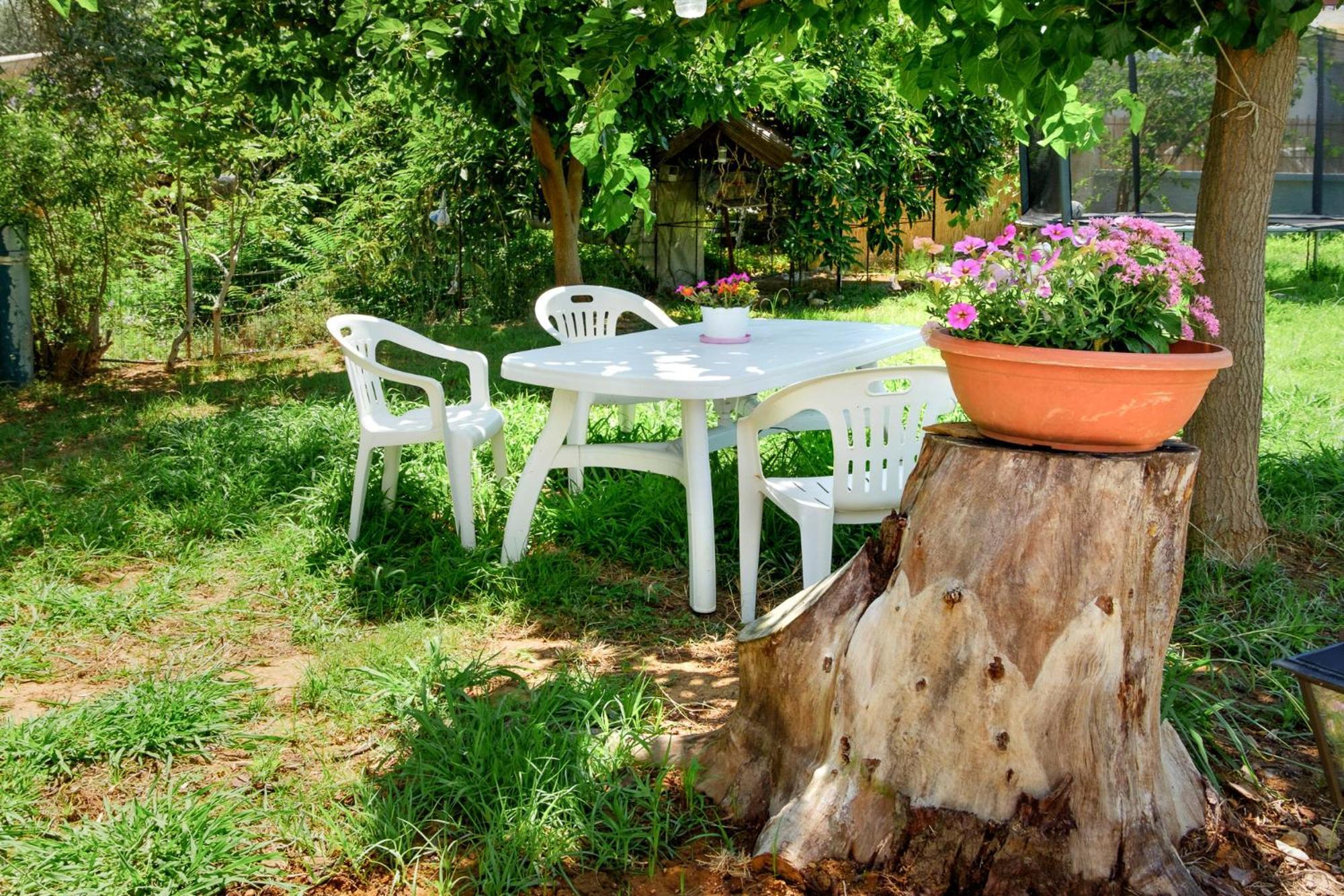 Nature's Playground New Listing2024 *