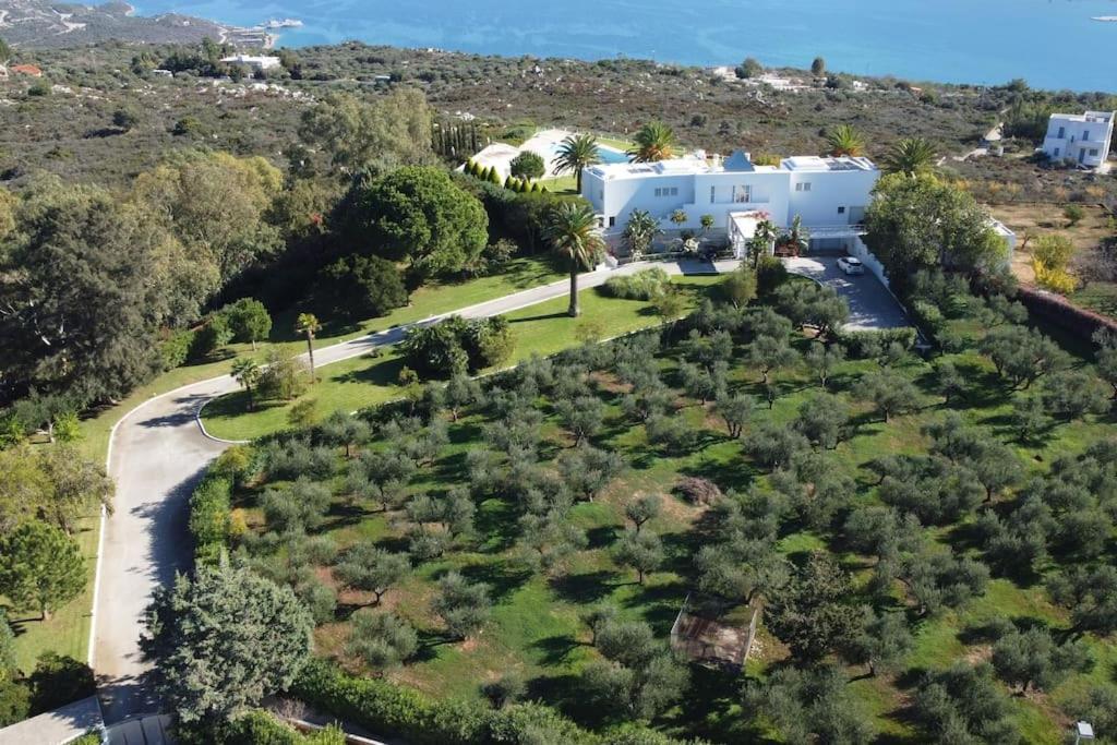 Casa Scordilli * Chania (Crete)