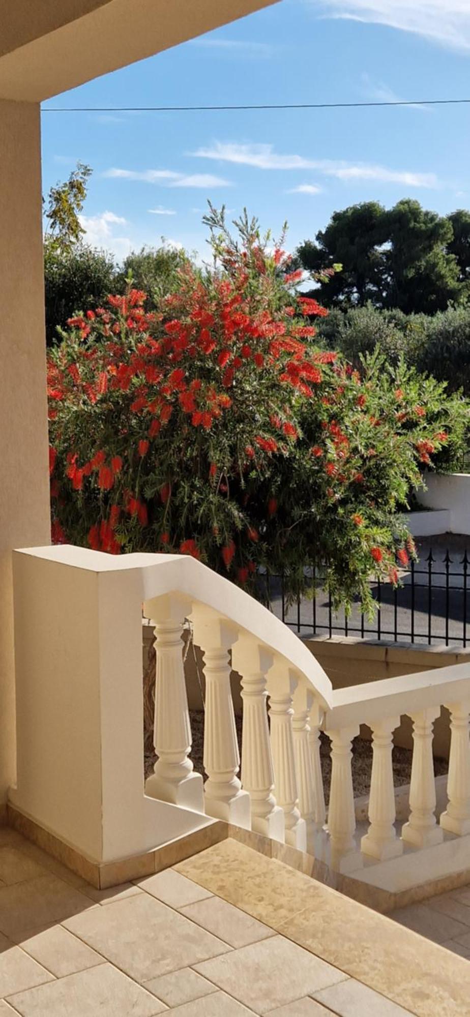 Olivia Holiday home *