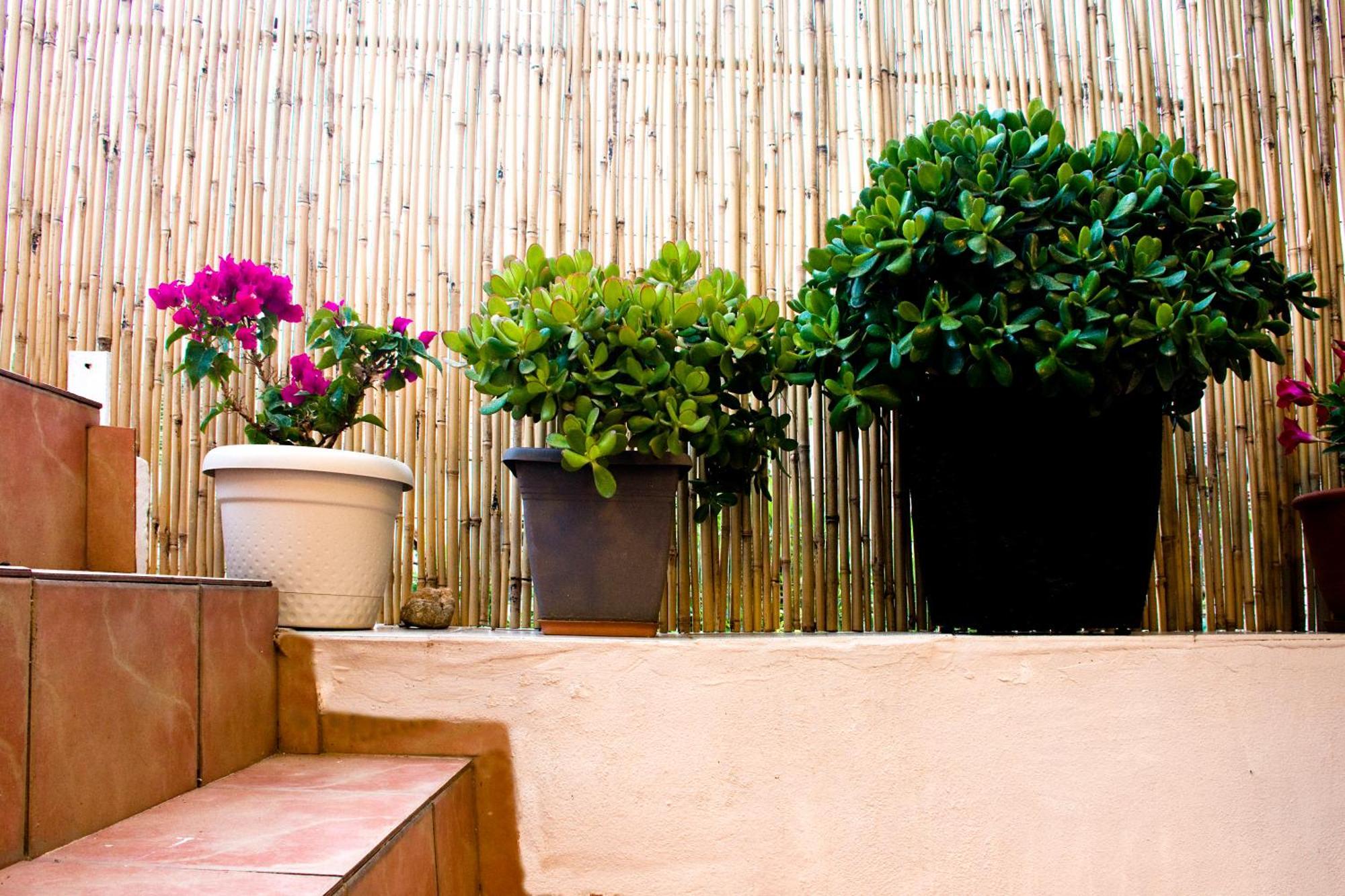Ferienhaus Lilian's House Chania (Crete)
