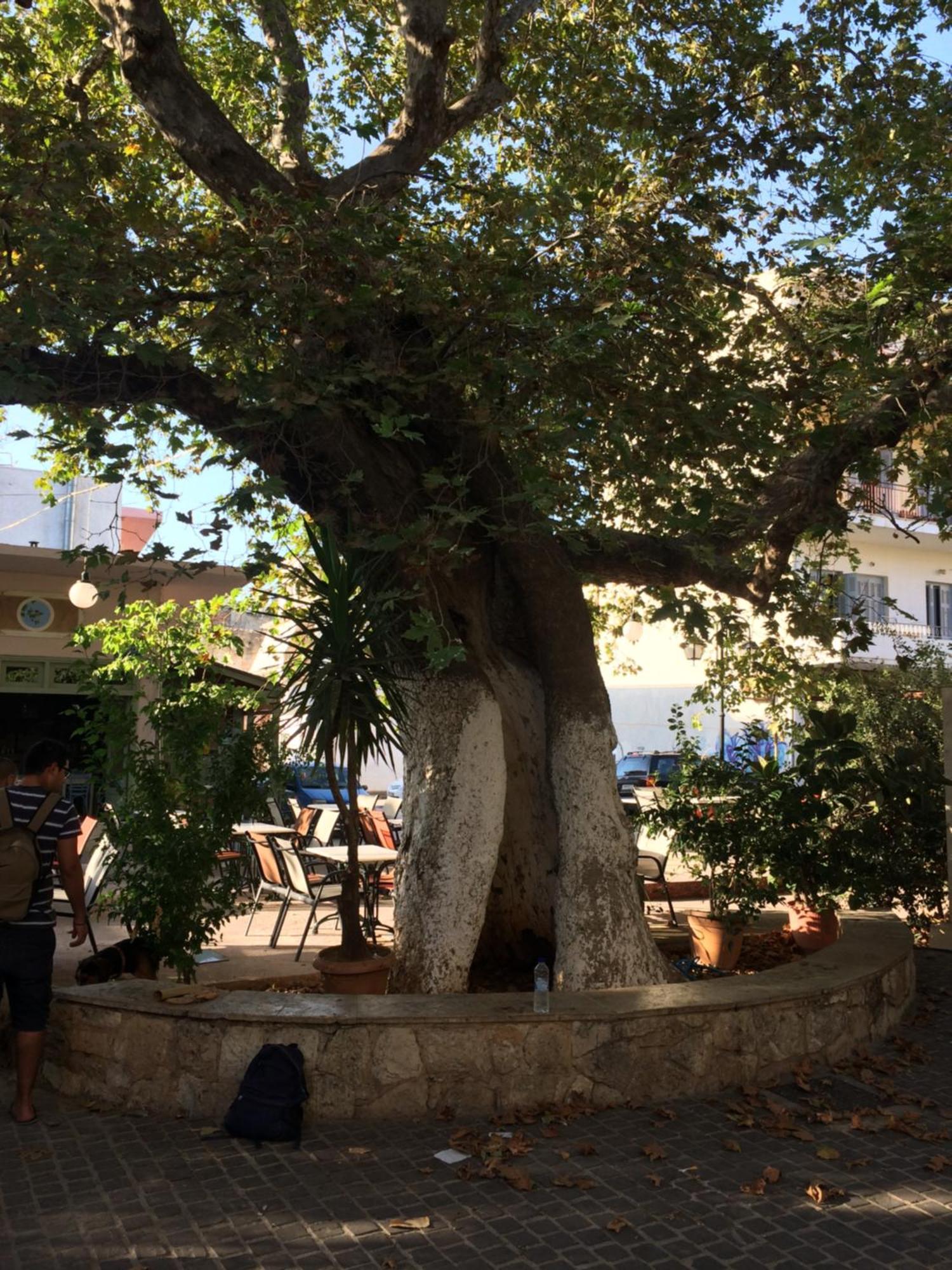 Lindas Convent Garden 4 Appartement Chania (Crete)