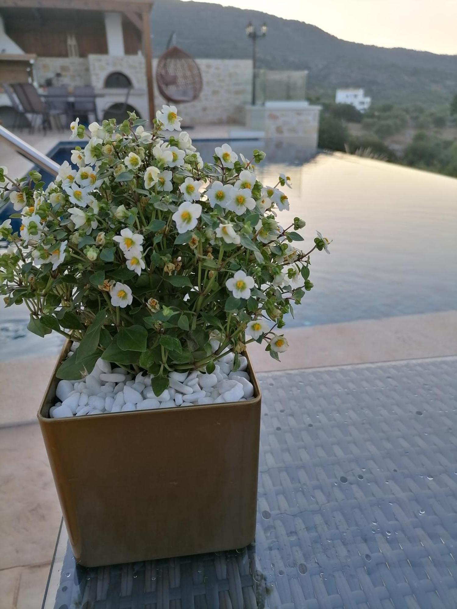 Halepouri Villa Chania (Crete)