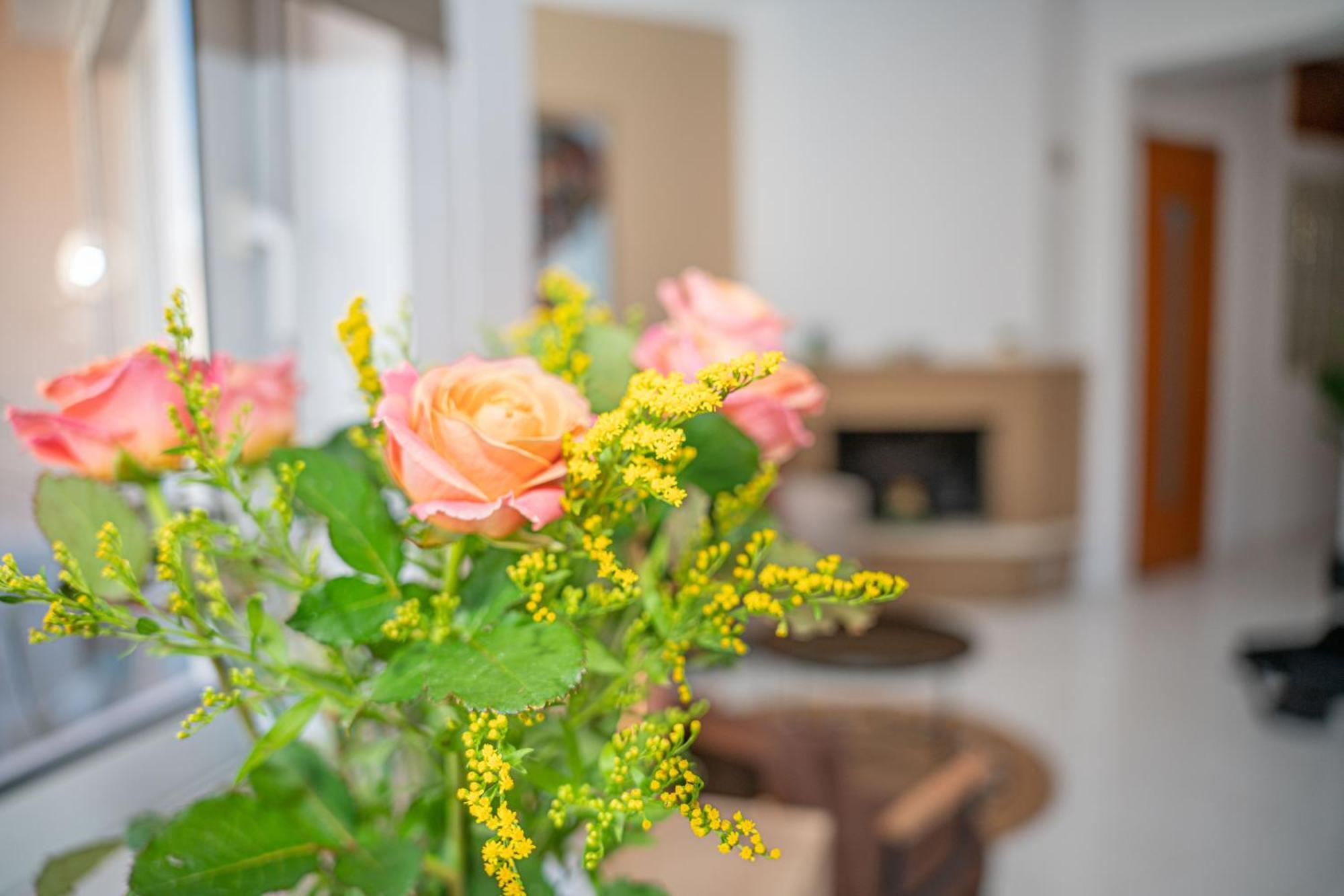 βella's Apartment, Chania Apartment