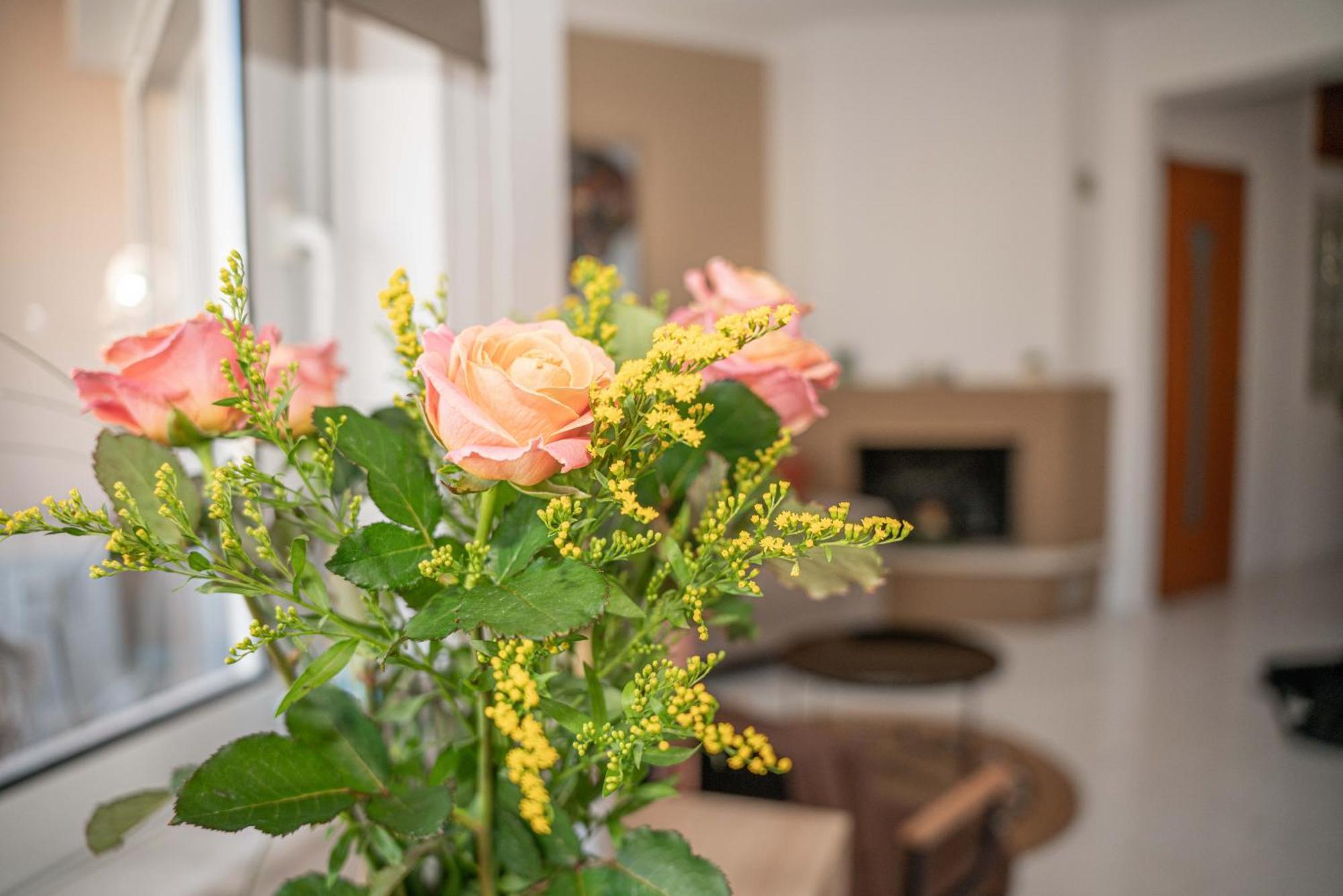 βella's Apartment, Chania *