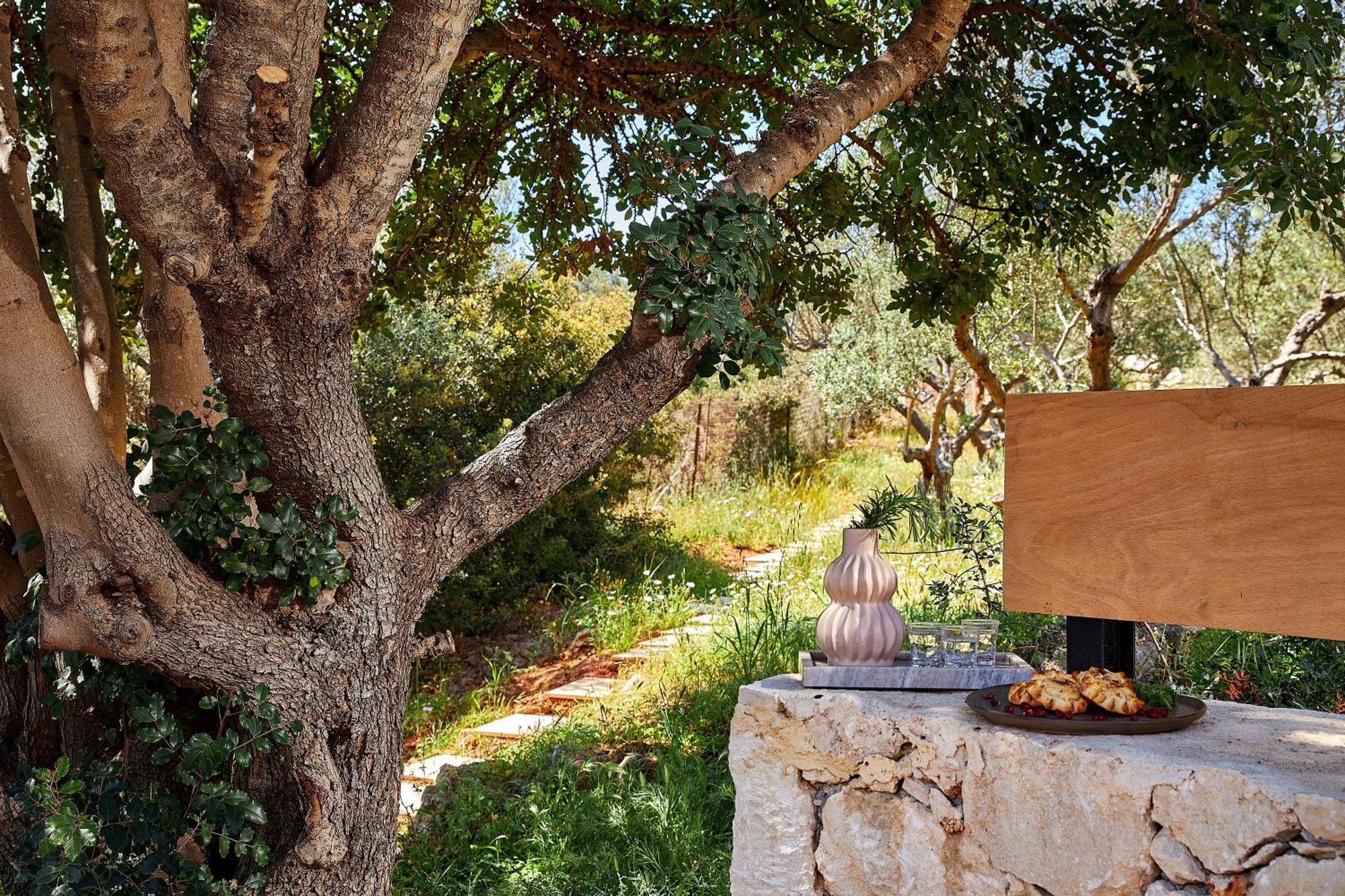 Villa Olives And Thyme Retreat Chania (Crete)