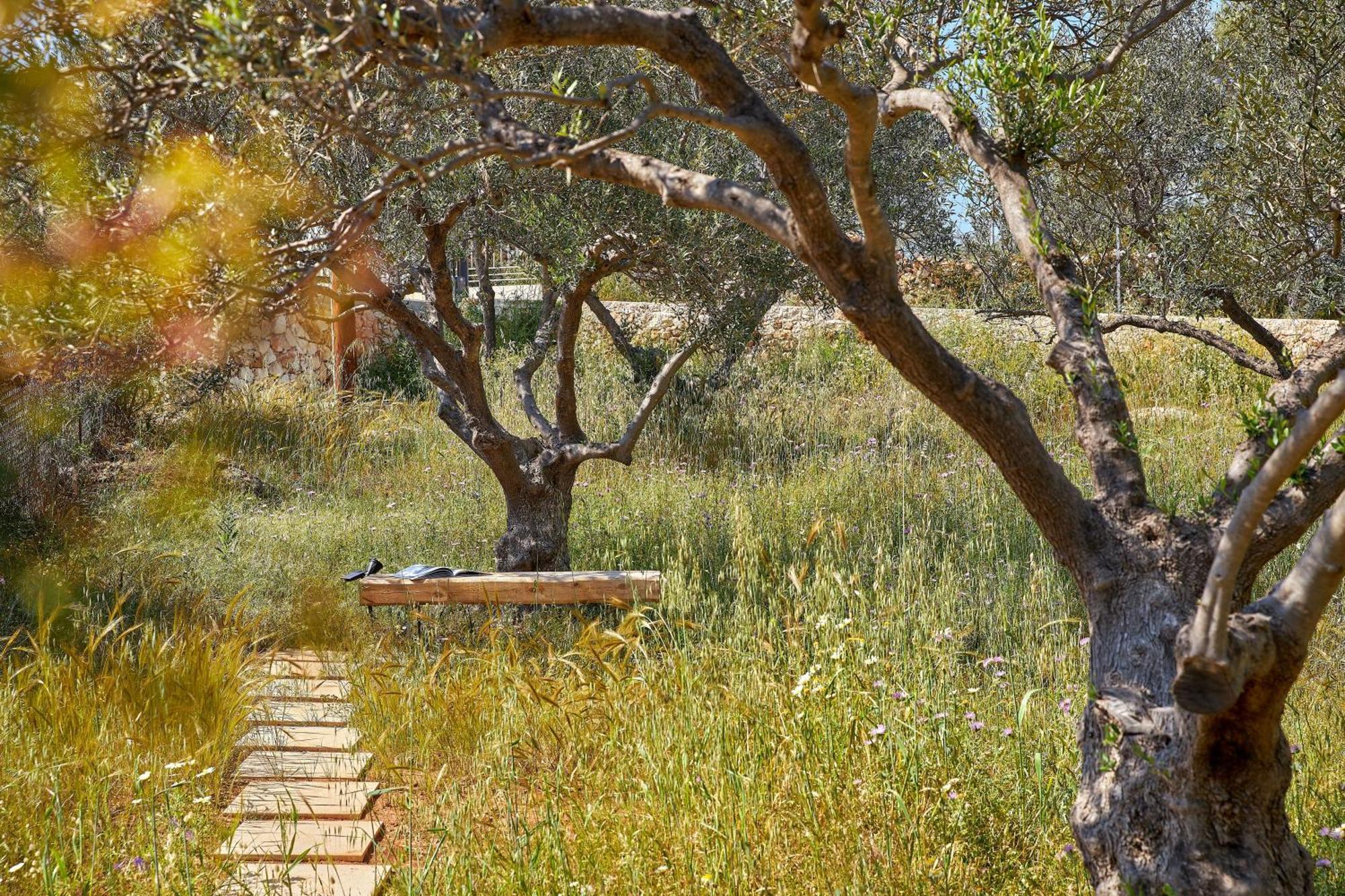 Olives And Thyme Retreat Villa *