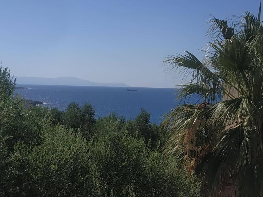 Ferienhaus Grandpa's House Chania (Crete)