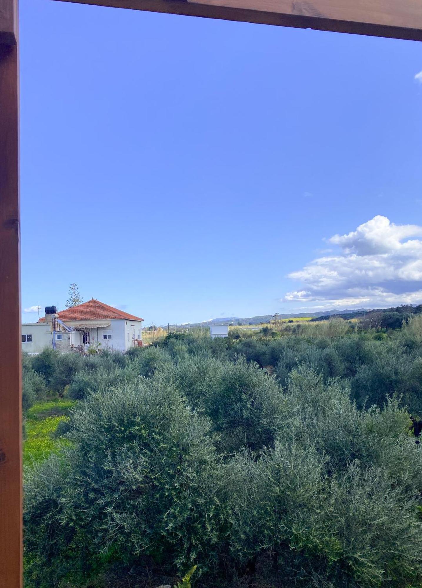 Ivon's House * Chania (Crete)