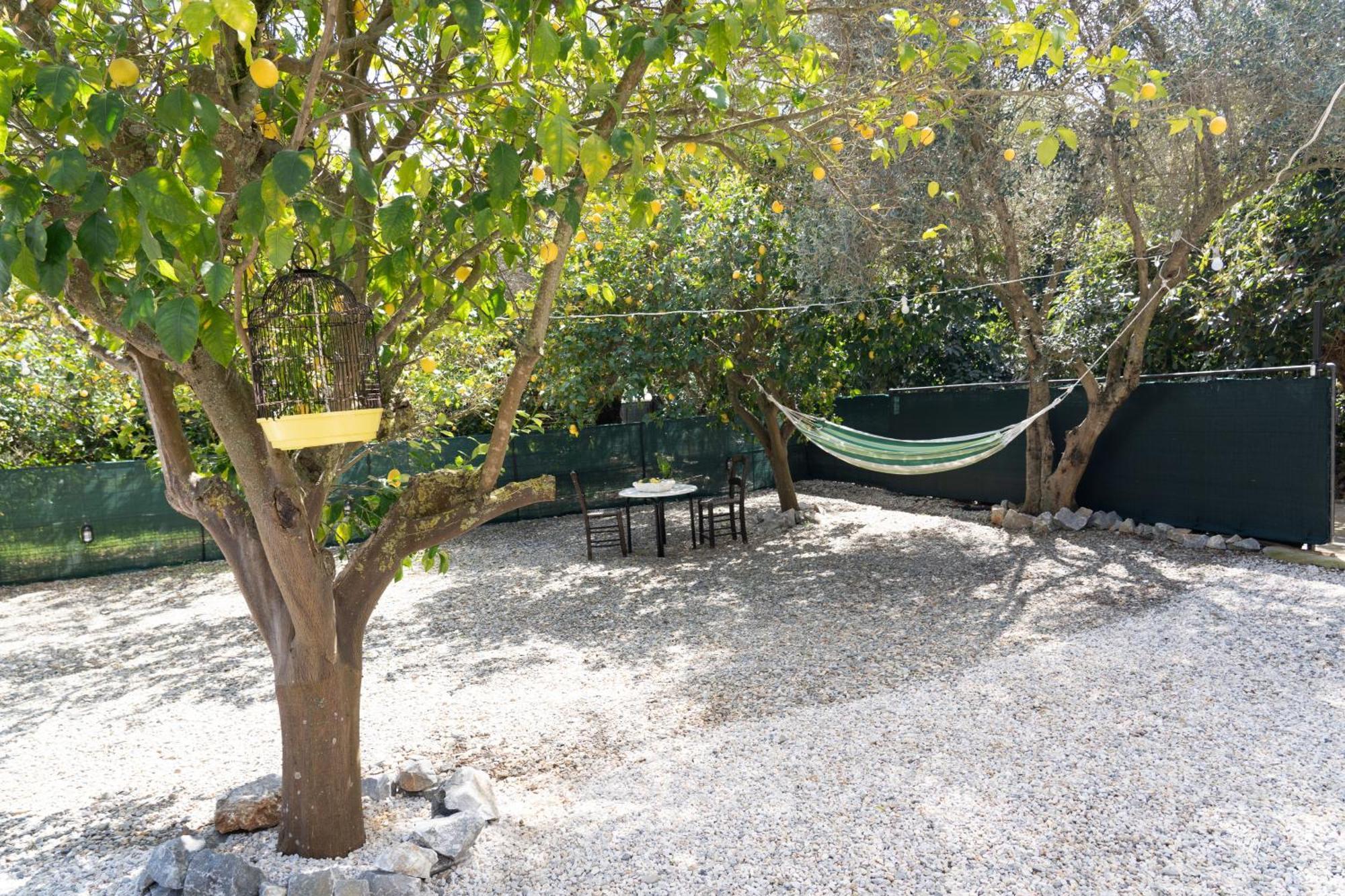 Lemon Garden Camper Holiday home Chania (Crete)