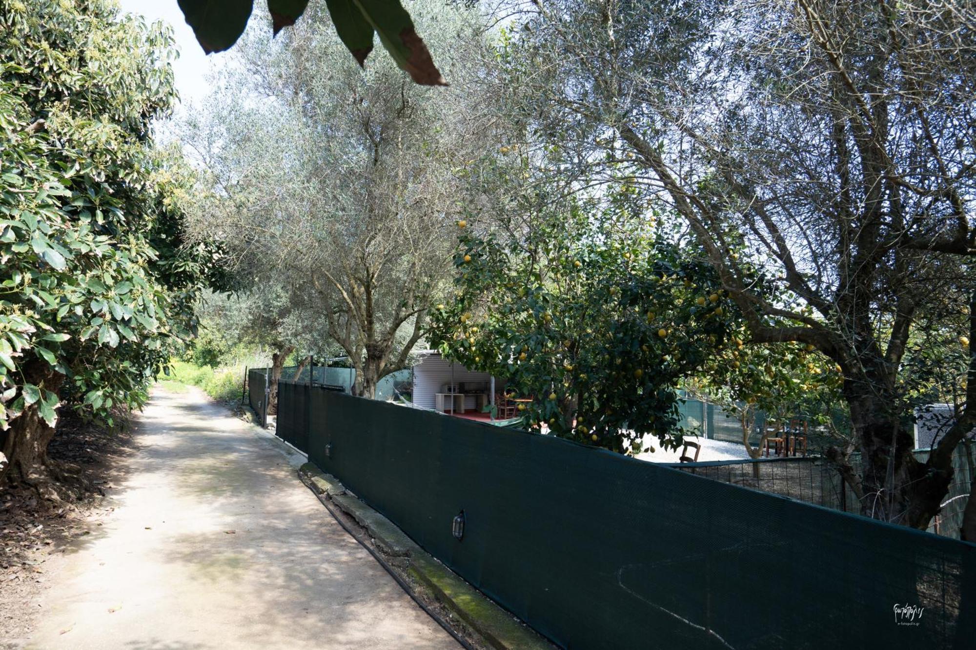 Holiday home Lemon Garden Camper Chania (Crete)