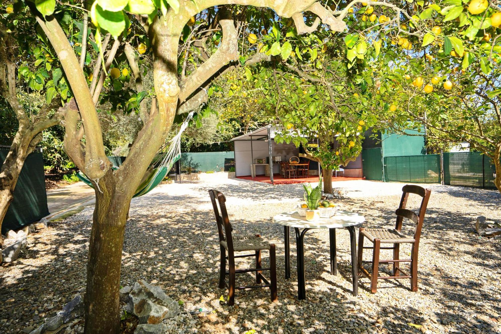 Lemon Garden Camper Chania (Crete)