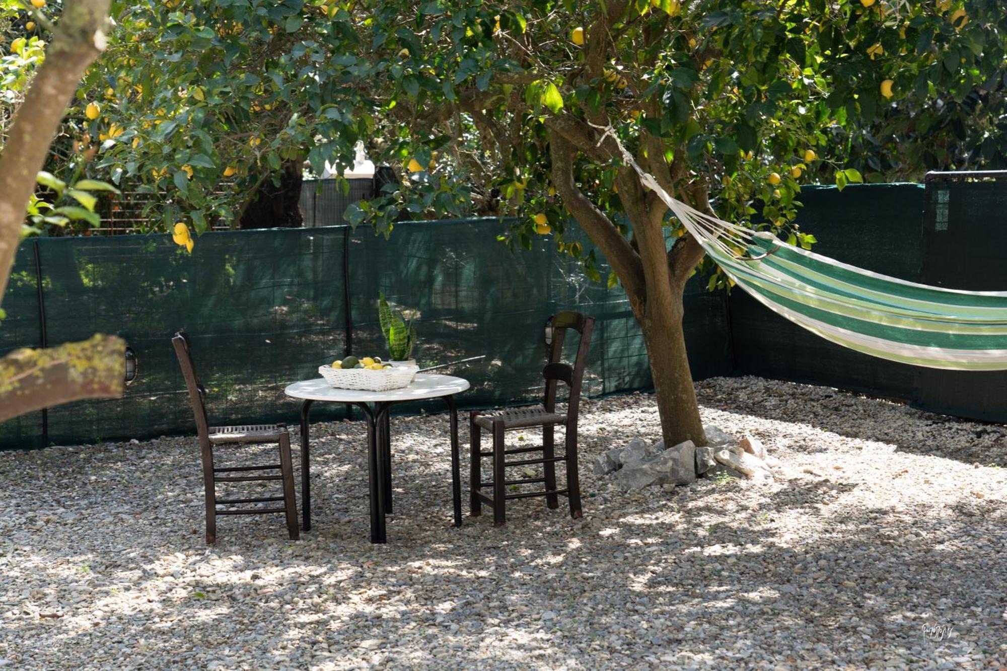 Lemon Garden Camper Holiday home *