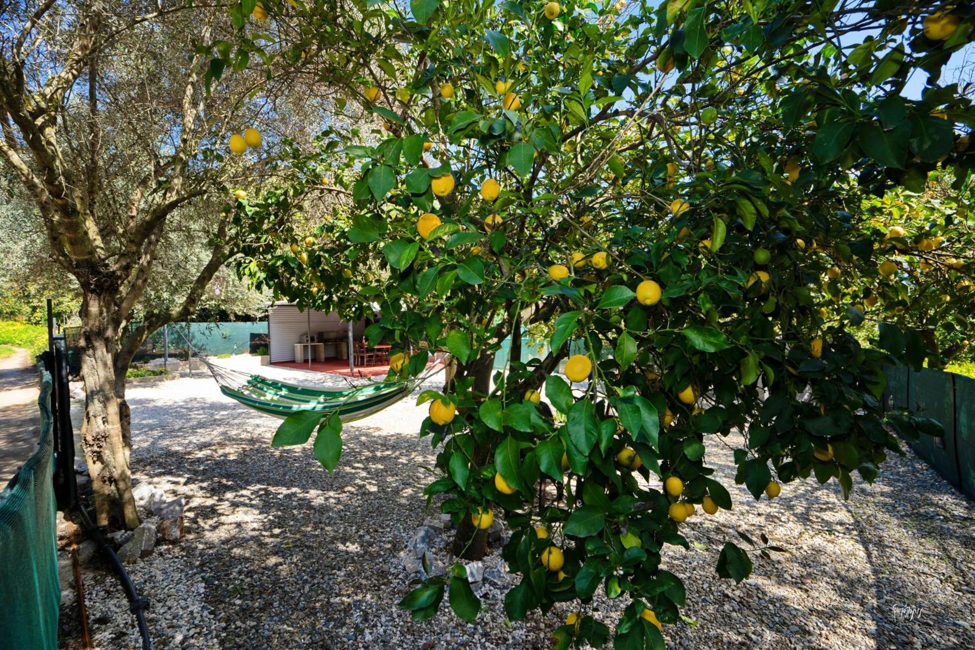 Lemon Garden Camper * Chania (Crete)