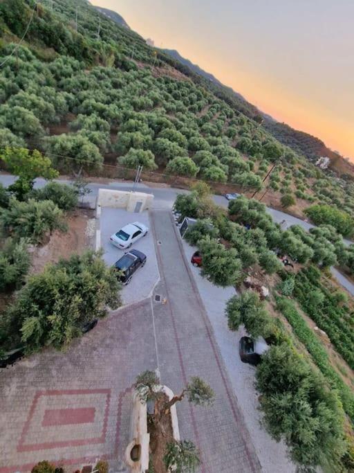 Olive Grove Holiday home
