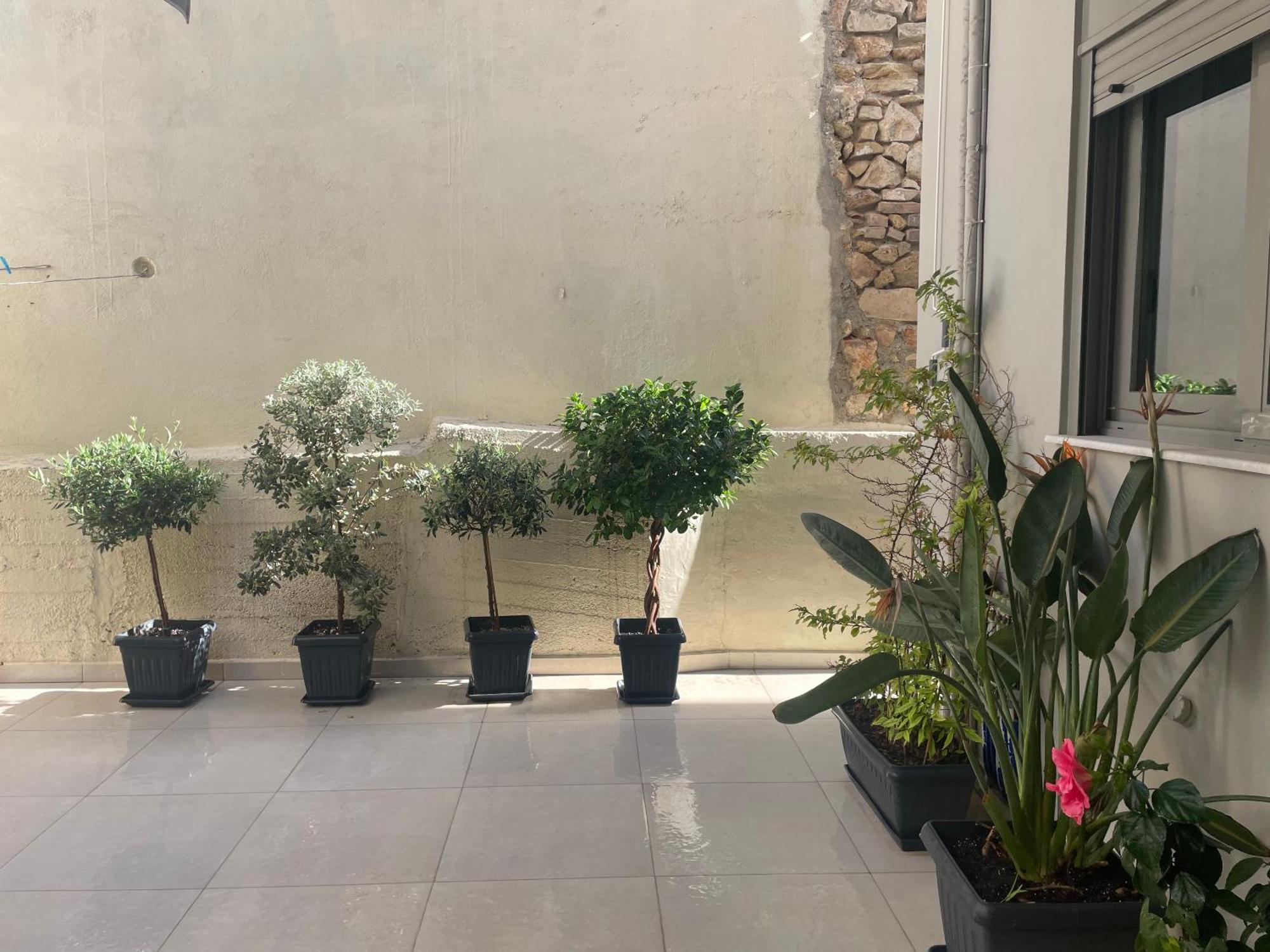 Apartamento Leonidas House