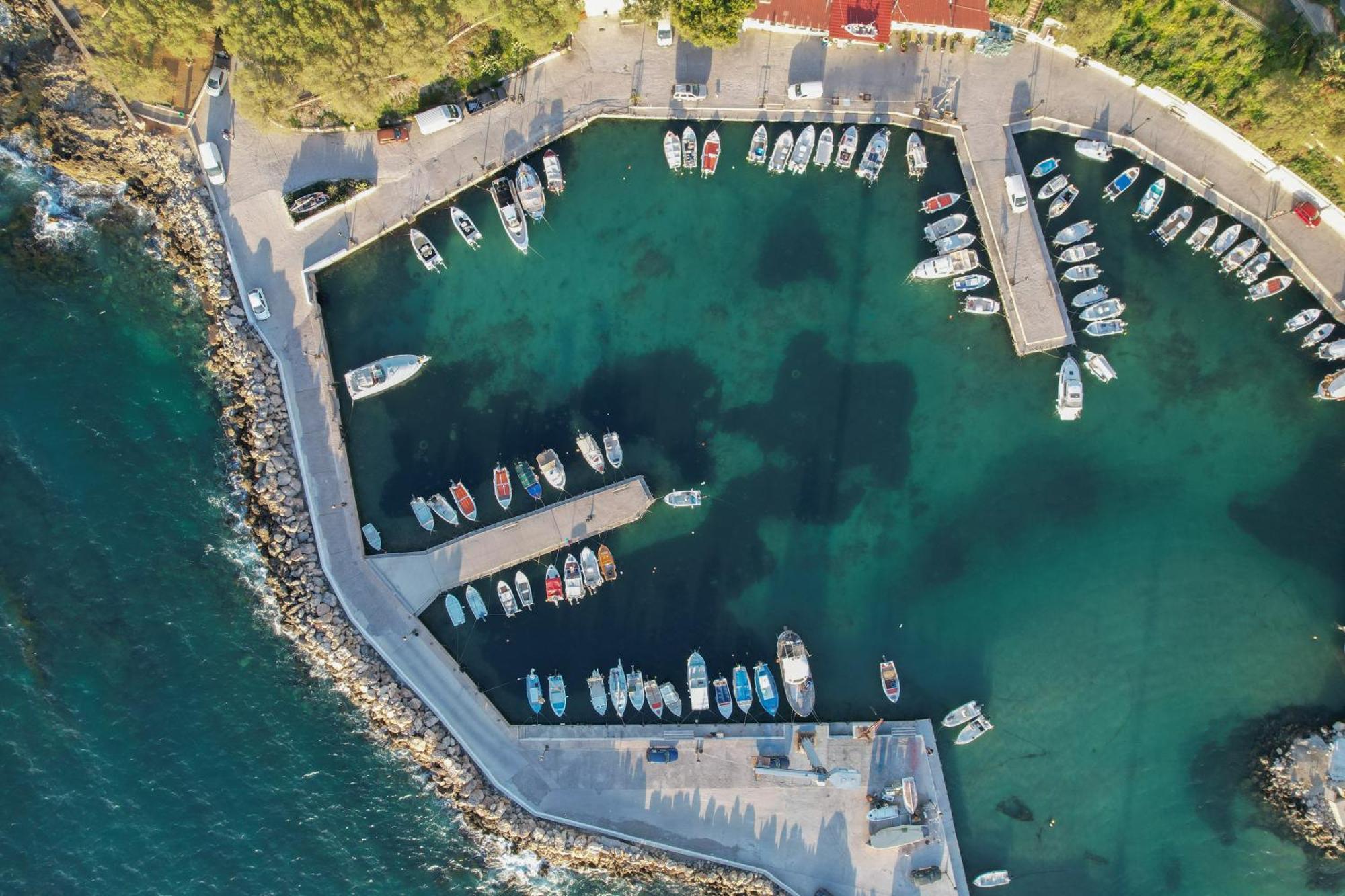 Arocaria Chania (Crete)