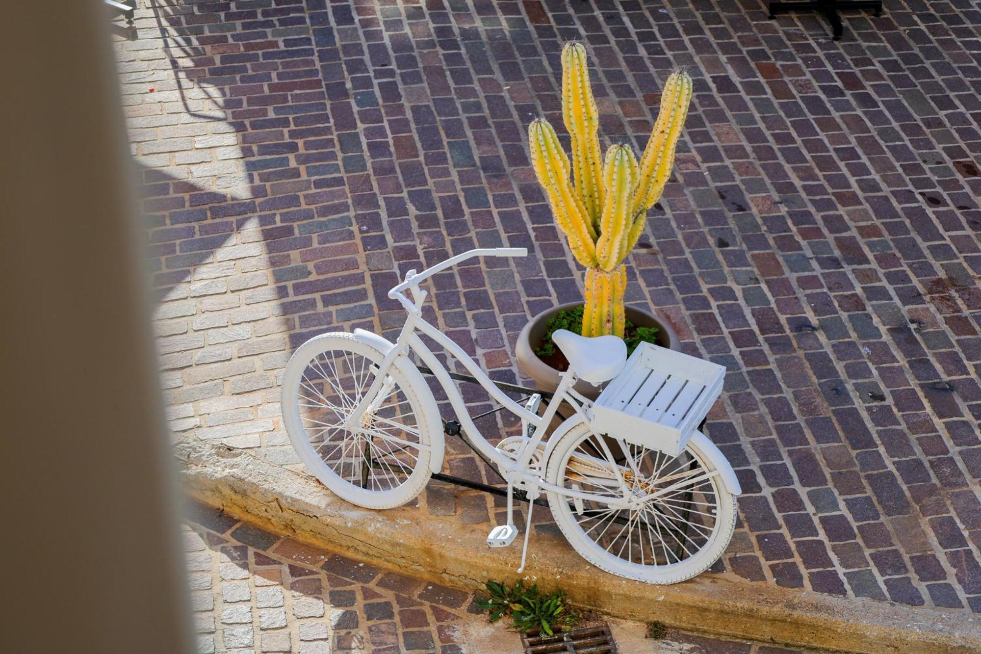 The Botanist Holiday home Chania (Crete)