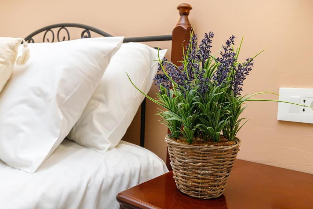 Appartement Tziapartment In Downtown Chania