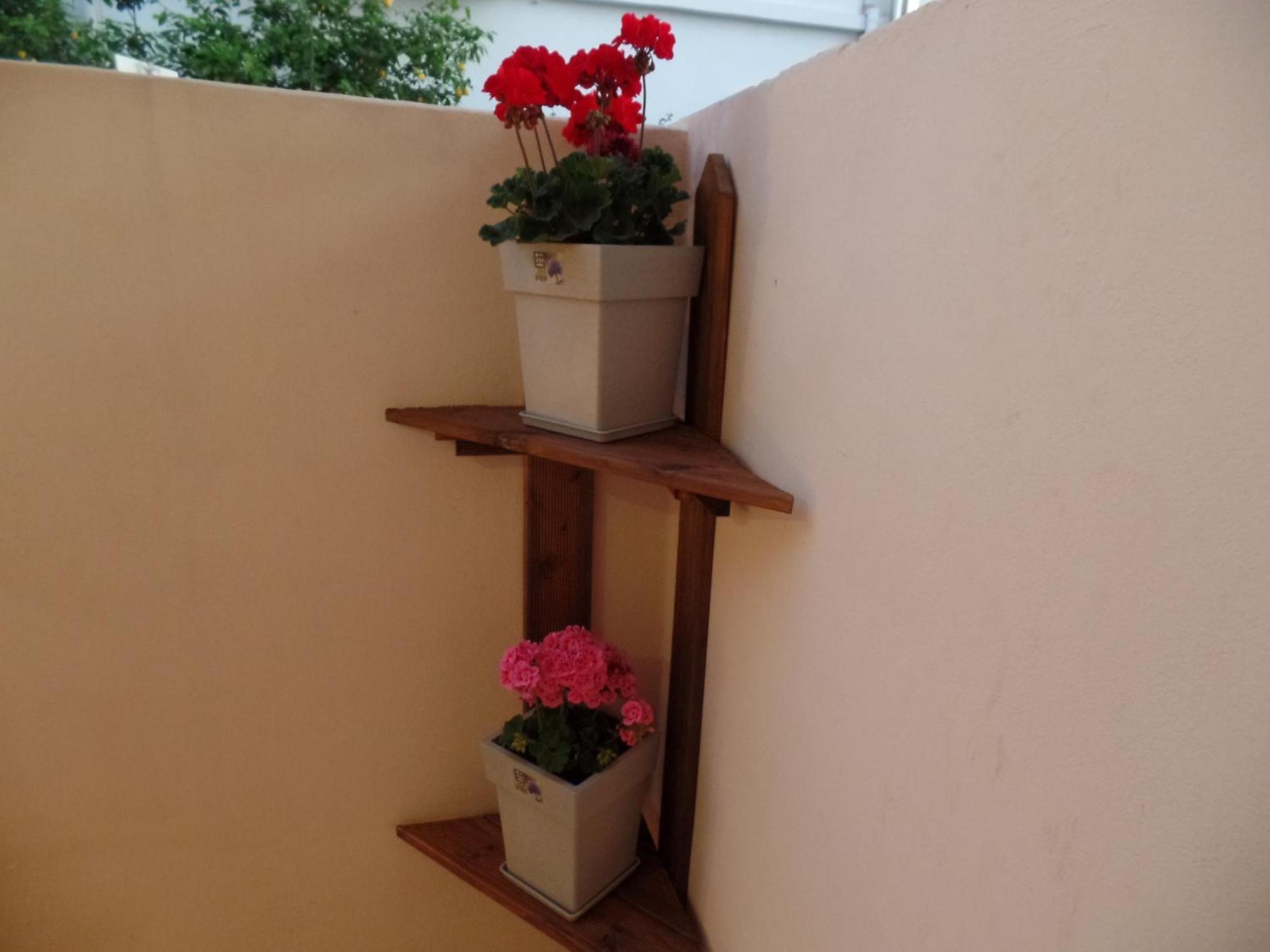 Ellis With Private Entrance And Veranda *